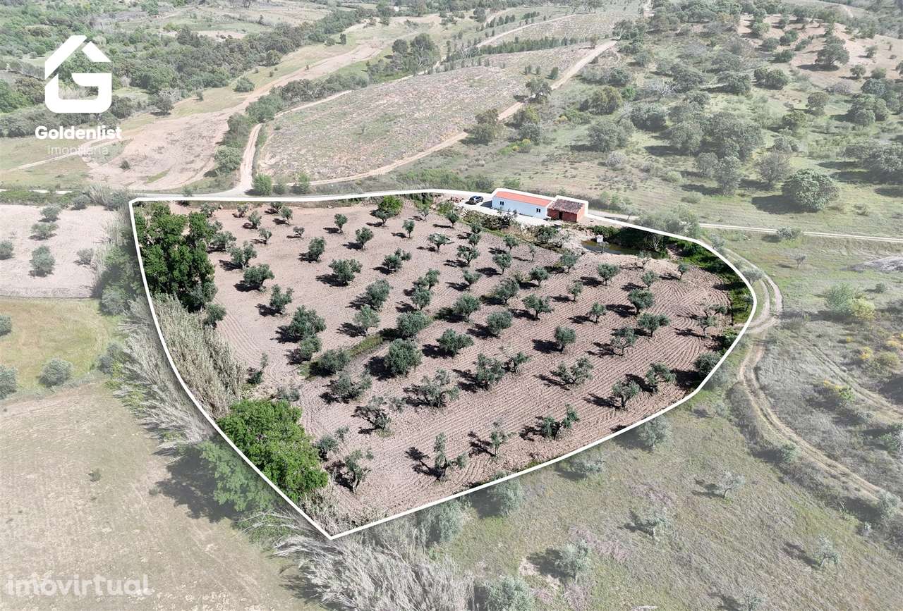 Quinta T2 Venda em Ladoeiro,Idanha-a-Nova - Grande imagem: 3/38