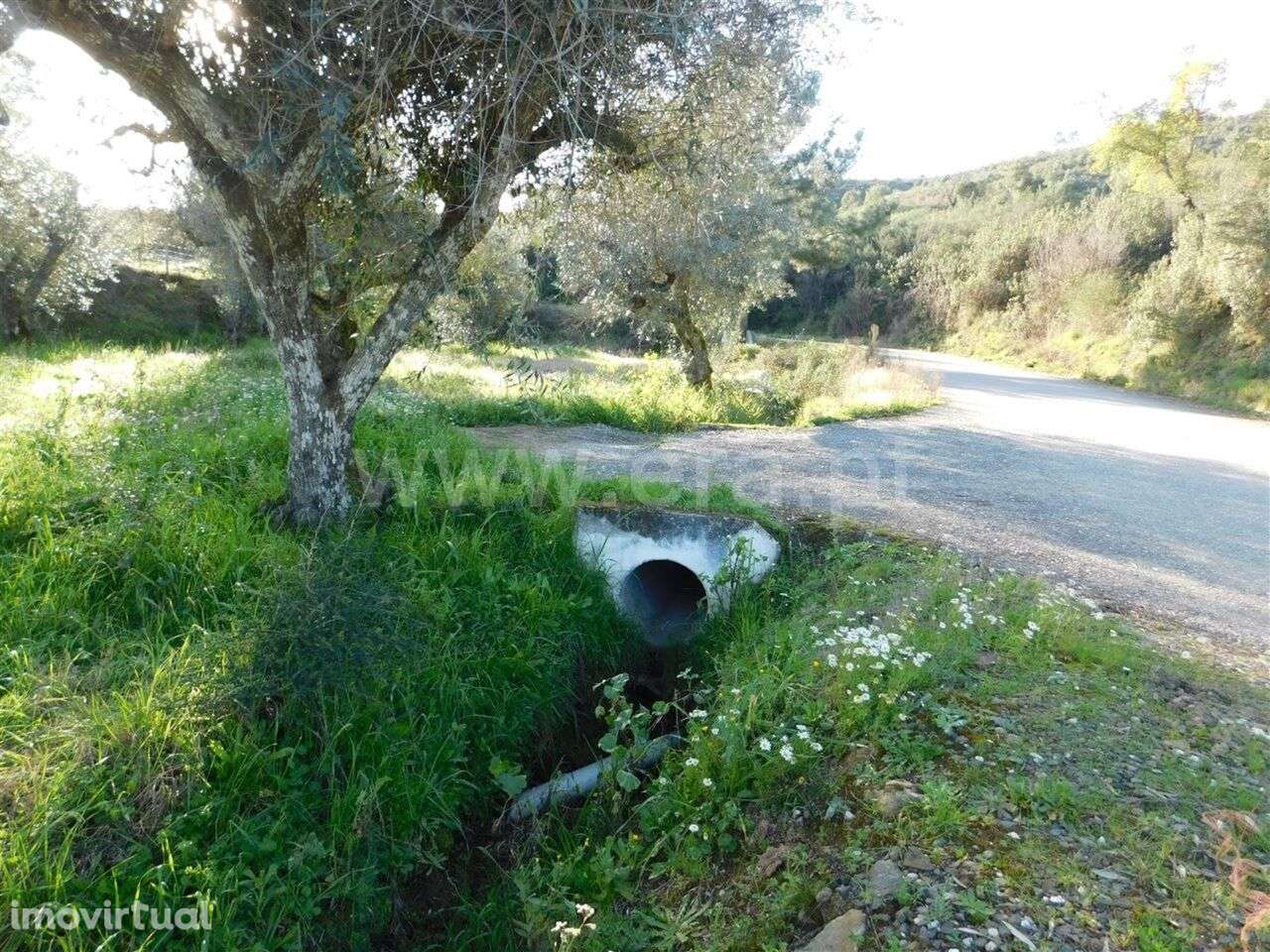 Terreno / Fundão, Telhado - Grande imagem: 2/4