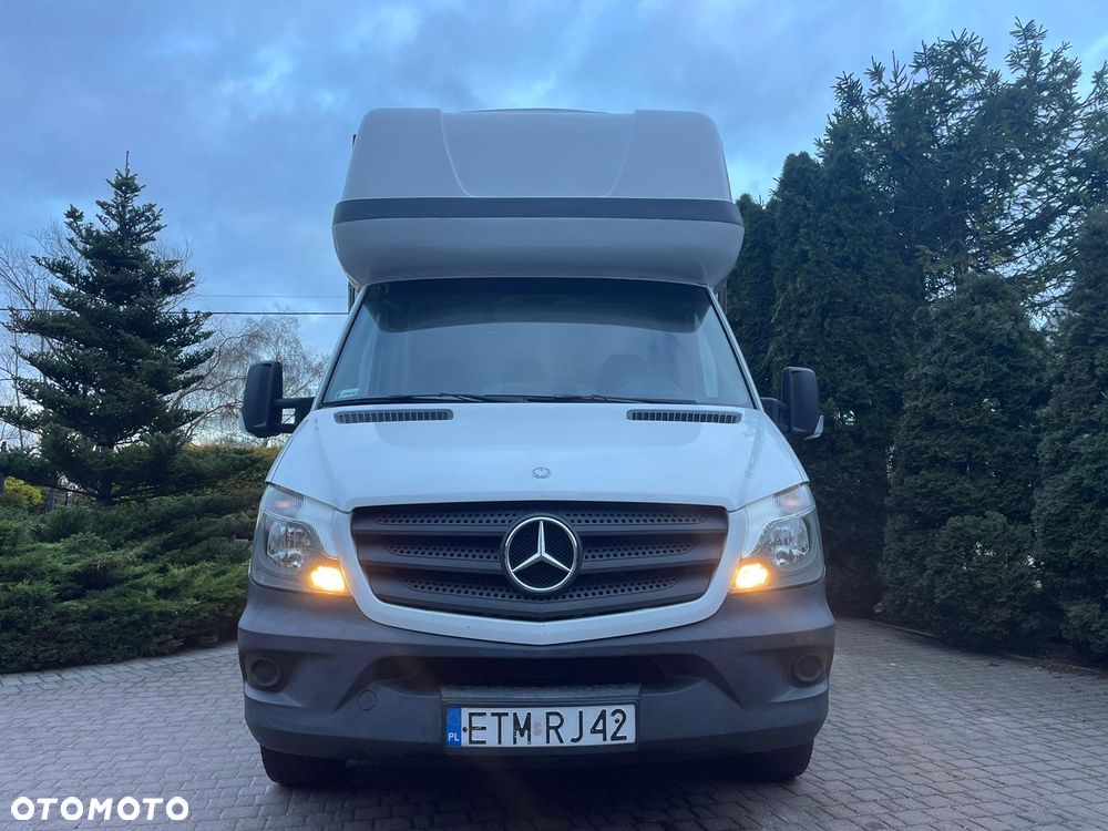Mercedes-Benz SPRINTER - 6