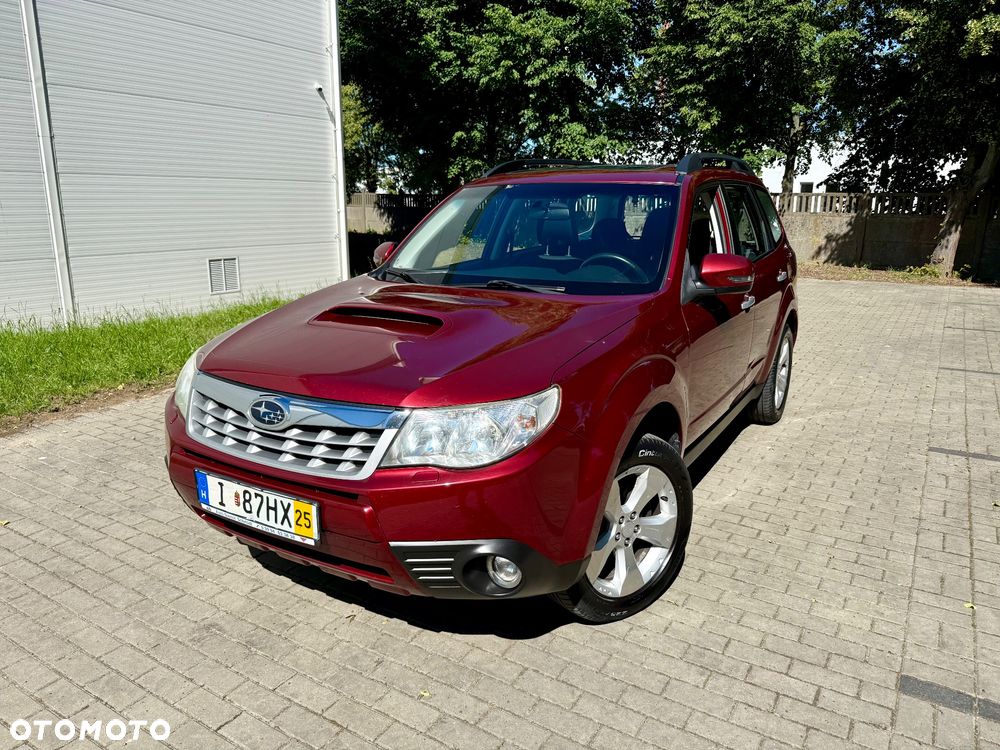 Subaru Forester - 16
