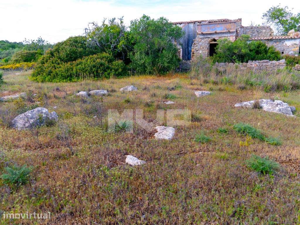 Terreno misto com ruina em São Brás de Alportel - Grande imagem: 3/14