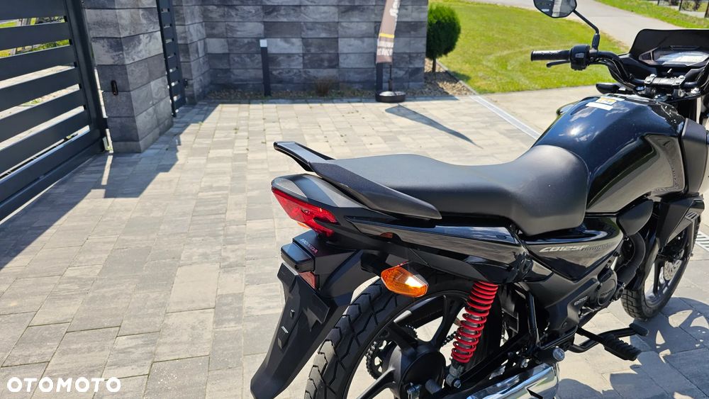 Honda CBF - 6