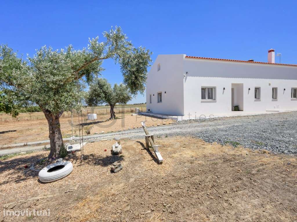 Um paraíso em Ferreira do Alentejo que poderá ser seu - Grande imagem: 3/25