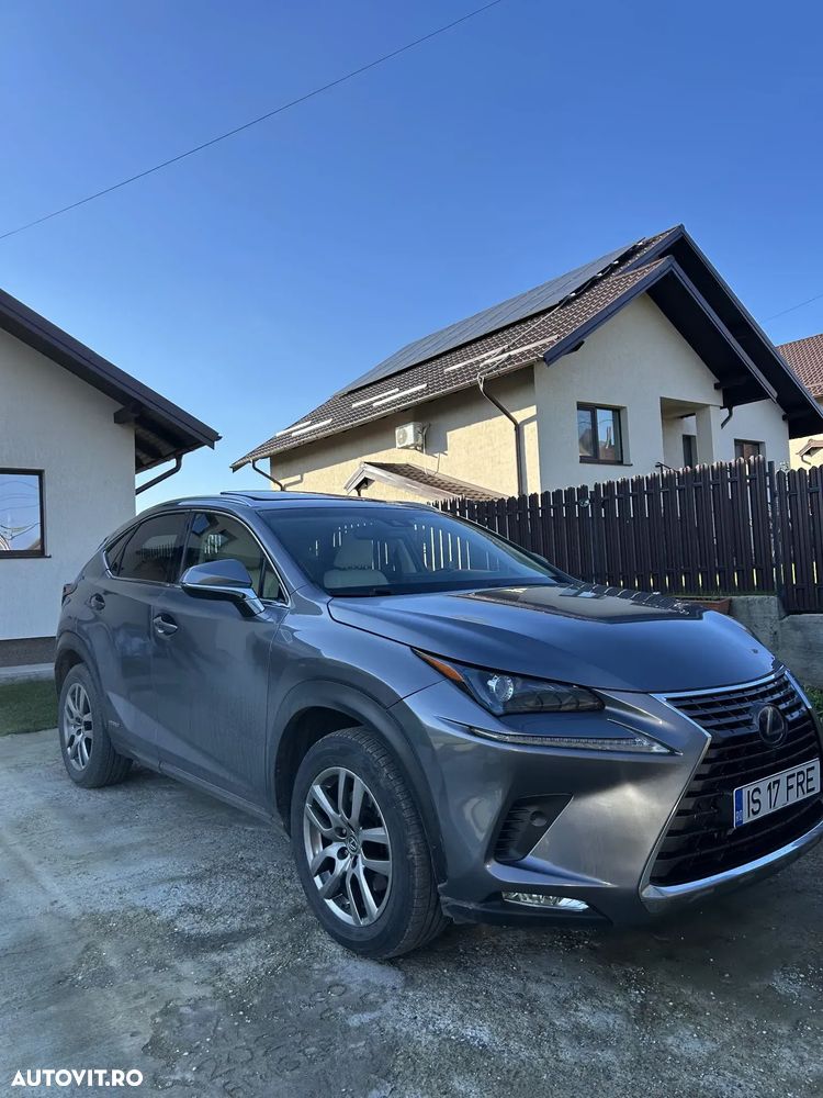 Lexus Seria NX 300h Executive Line - 14