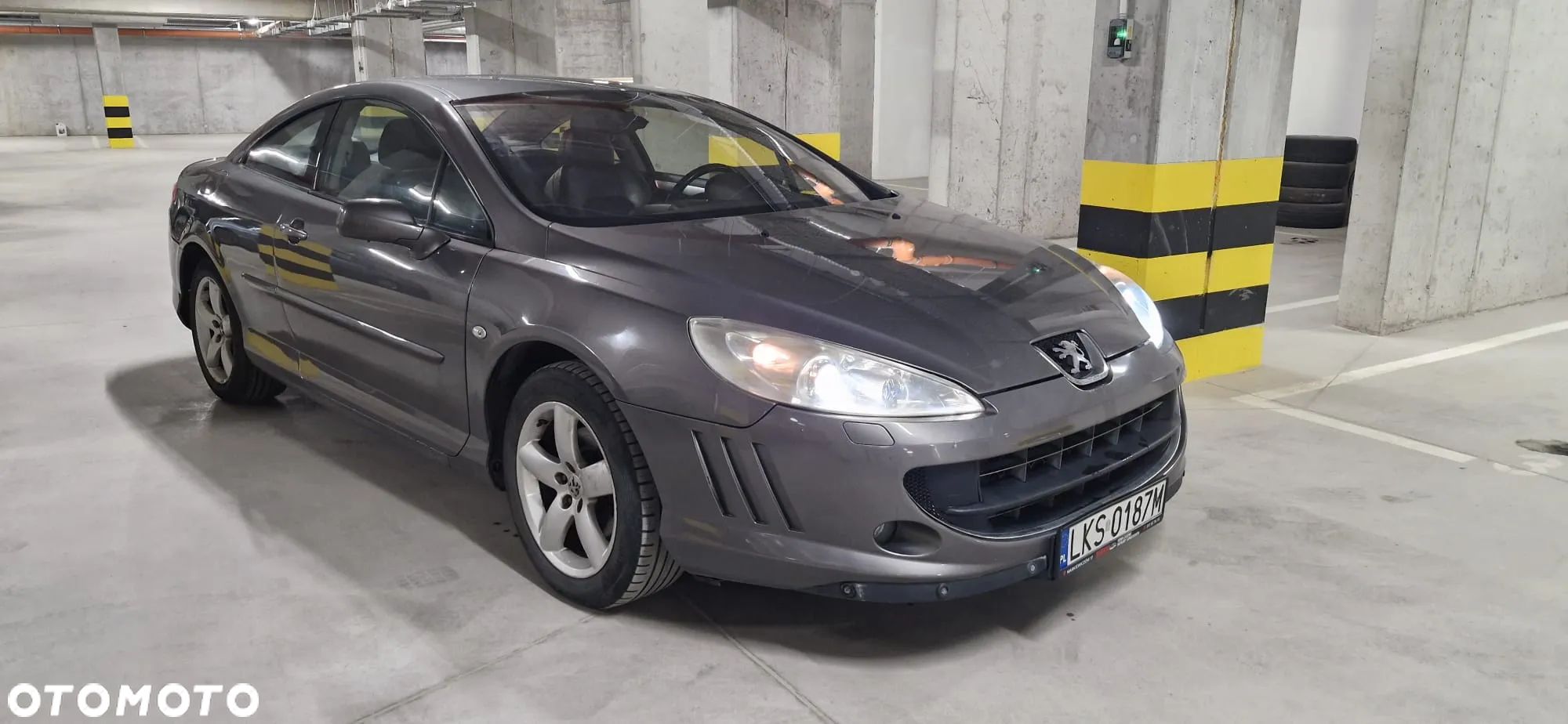 Peugeot 407 - 1