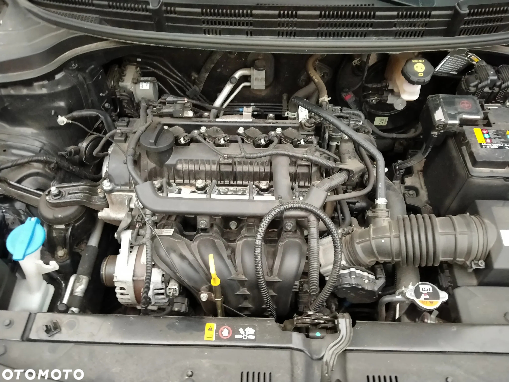 Kia Rio 1.2 M - 4