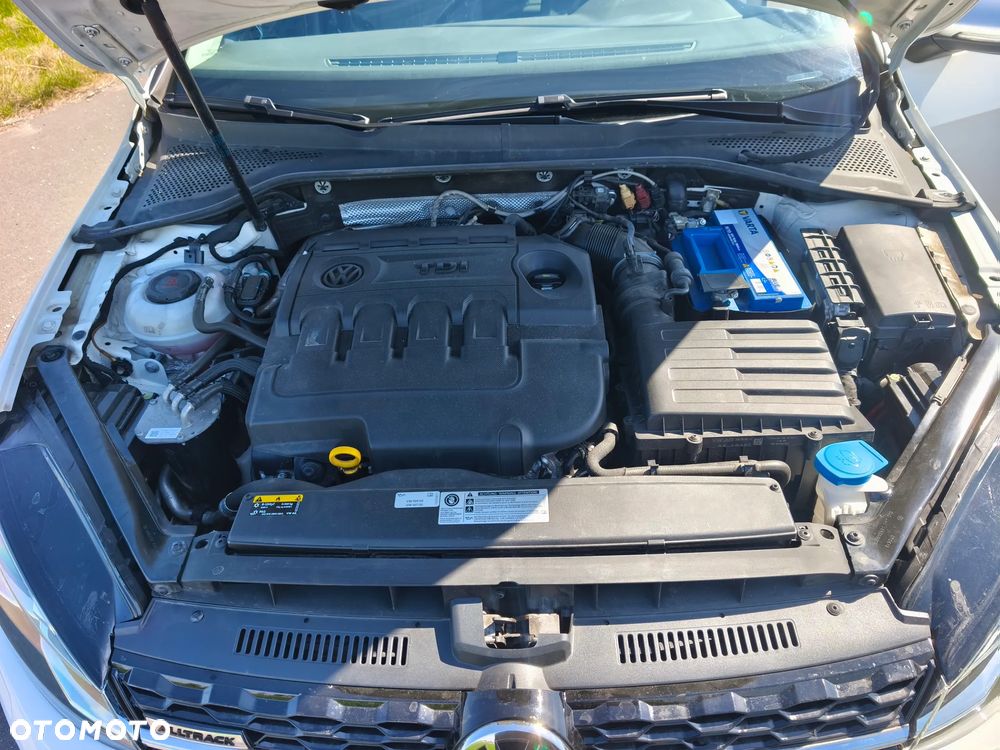 Volkswagen Golf Alltrack 2.0 TDI 4Motion (BMT) DSG - 24