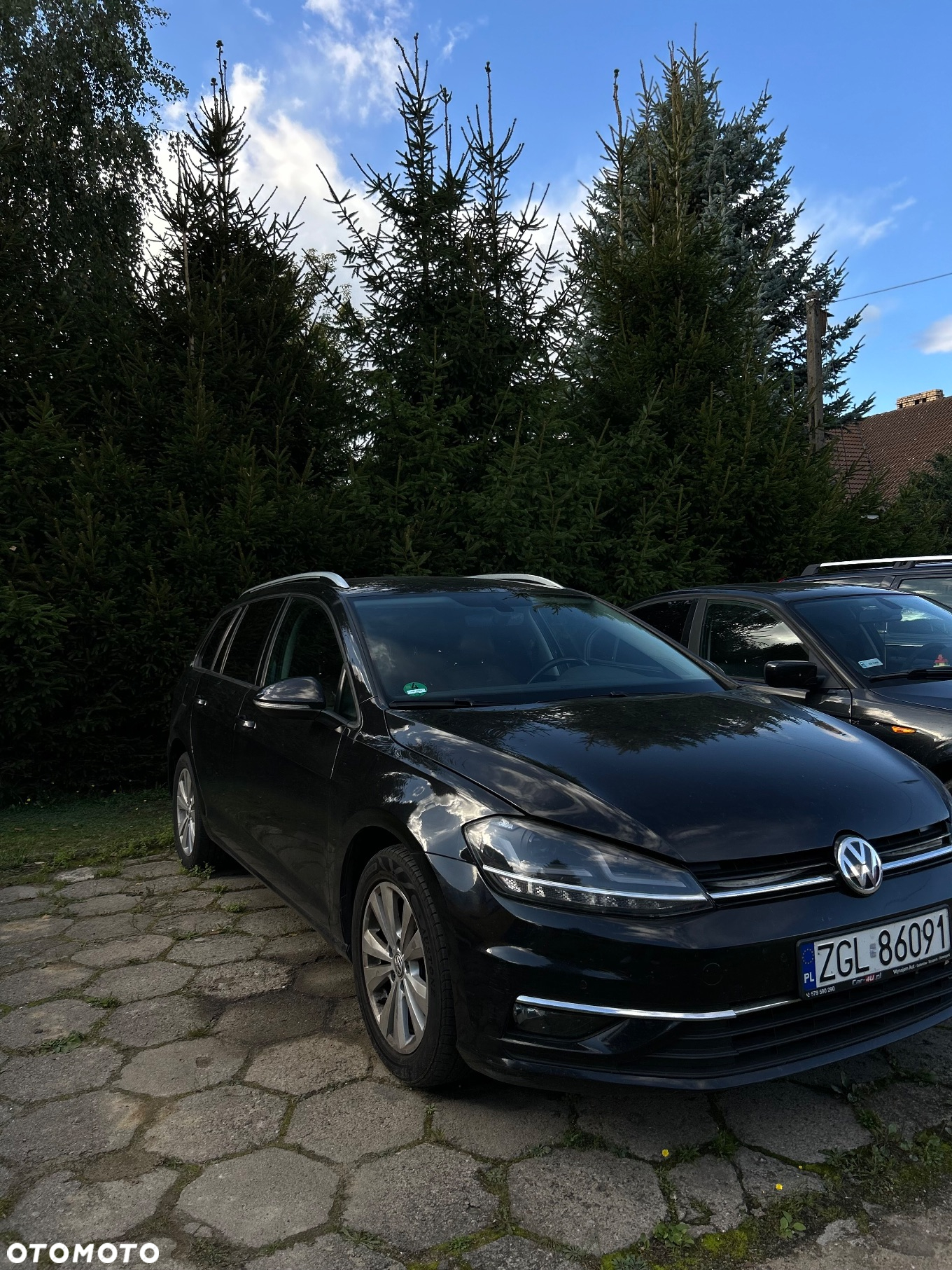 Volkswagen Golf - 2