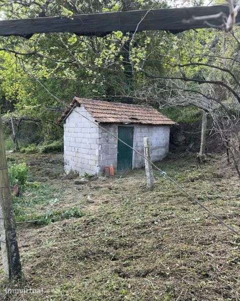 Alugo Terreno Agricula / Cultivo - Grande imagem: 4/4
