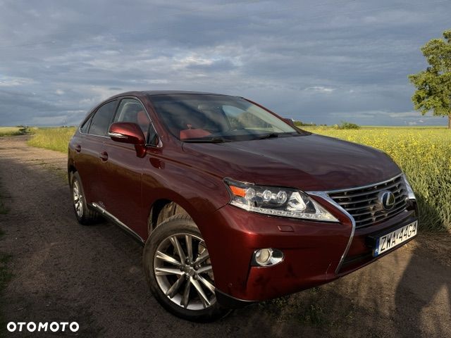 Lexus RX - 13