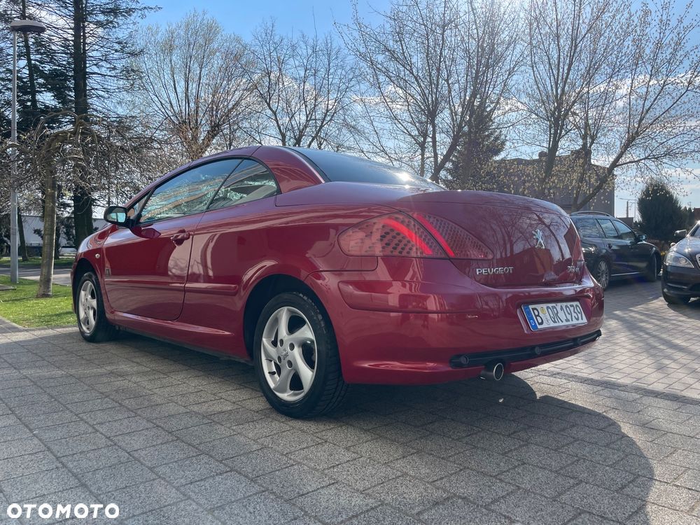 Peugeot 307 2.0 Sporty - 7
