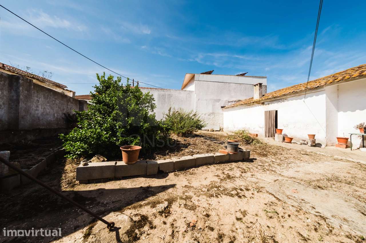 2 Moradias num terreno de 6117m2 | Carvalhal | Bombarral - Grande imagem: 5/47
