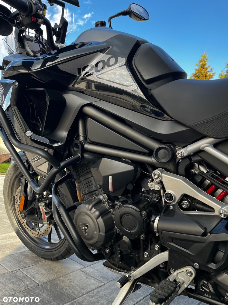 Triumph Tiger - 38