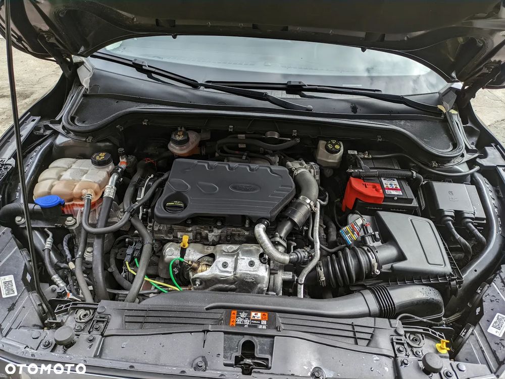 Ford Focus 1.5 EcoBlue Connected - 7