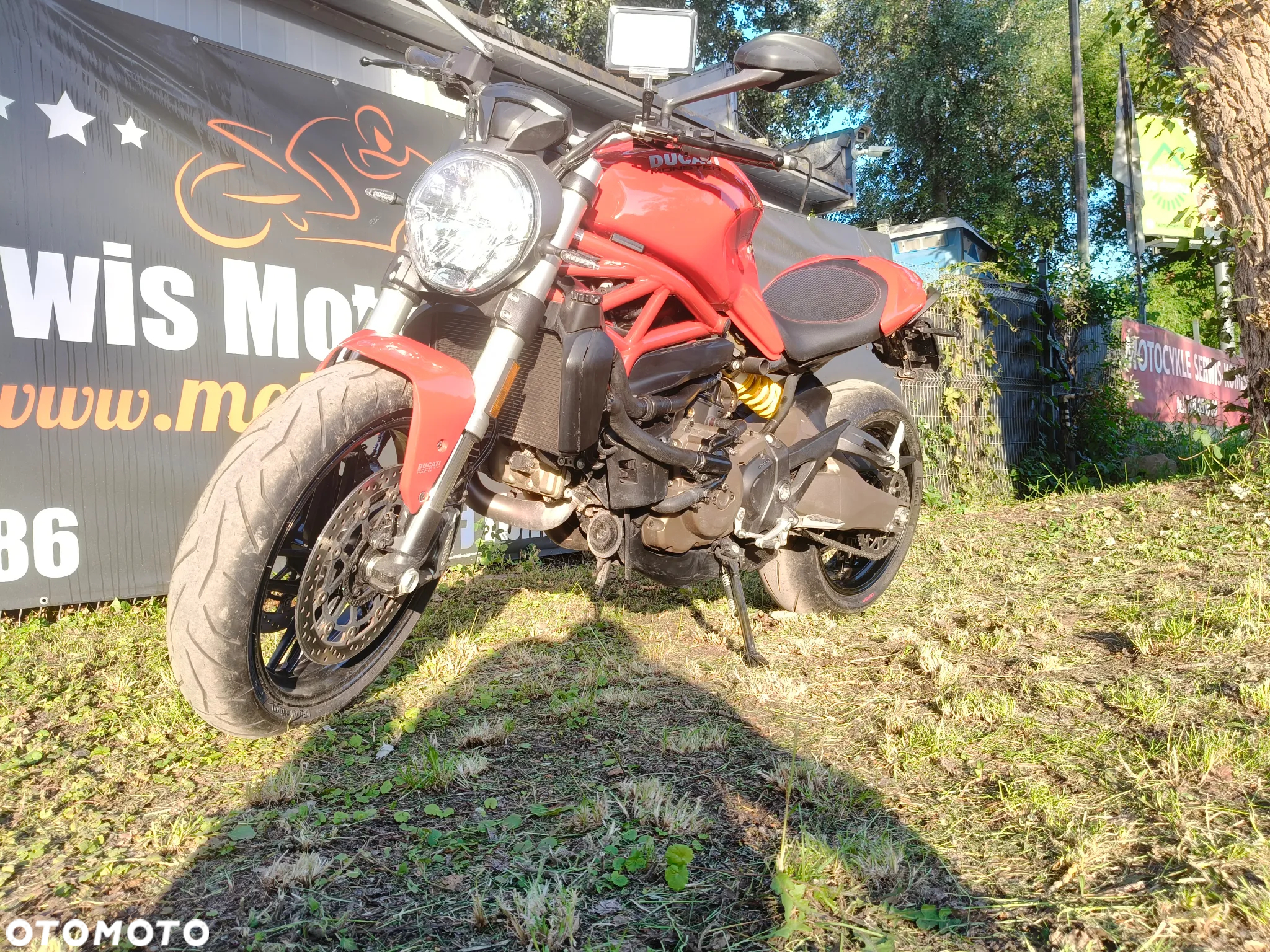 Ducati Monster - 30