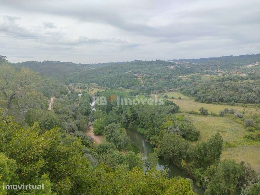 Terreno Rústico com 6920m2 - Pedreira, Tomar - Grande imagem: 2/10