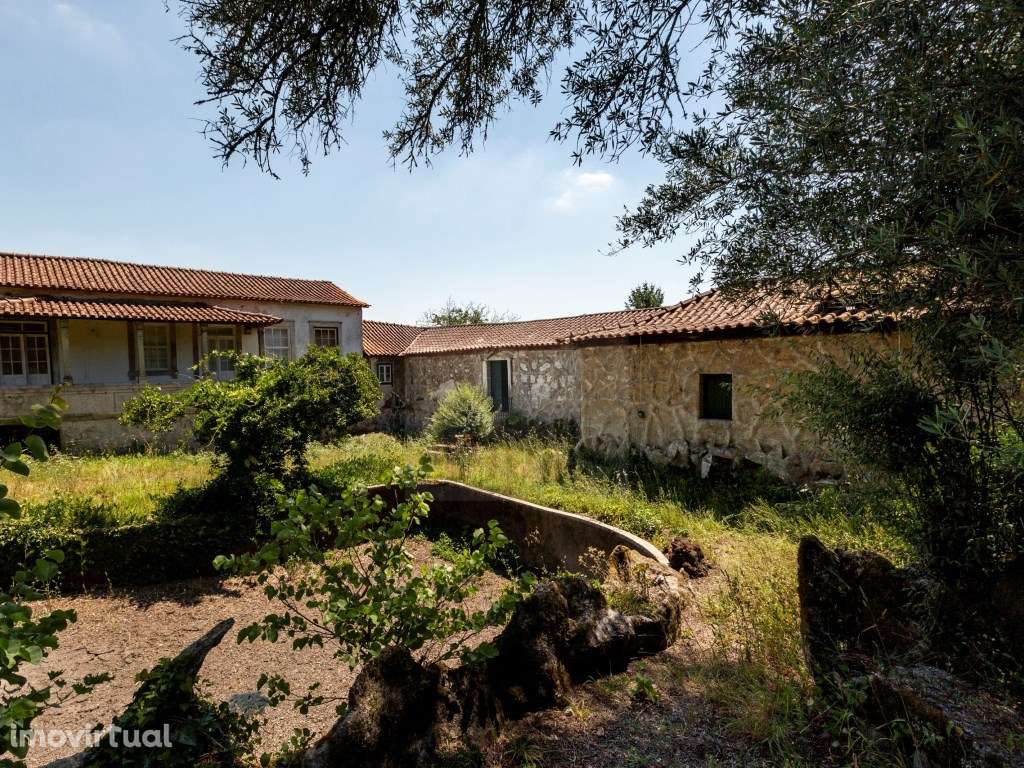 Quinta com moradia para reconstrução em Briteiros - Guimarães - Grande imagem: 2/5