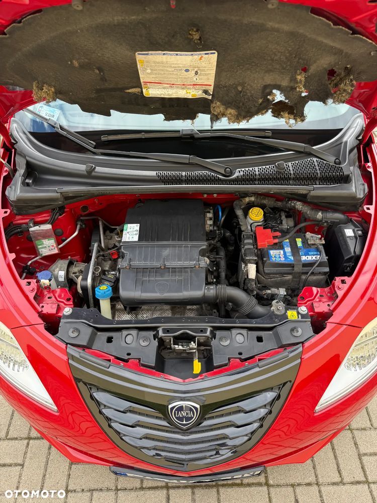 Lancia Ypsilon 1.2 8V Elefantino S&S - 2