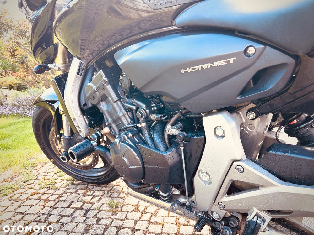 Honda Hornet - 18