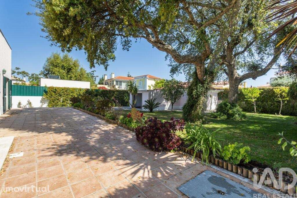 Casa / Villa T4 em Azeitão de 257 m2 - Grande imagem: 5/40