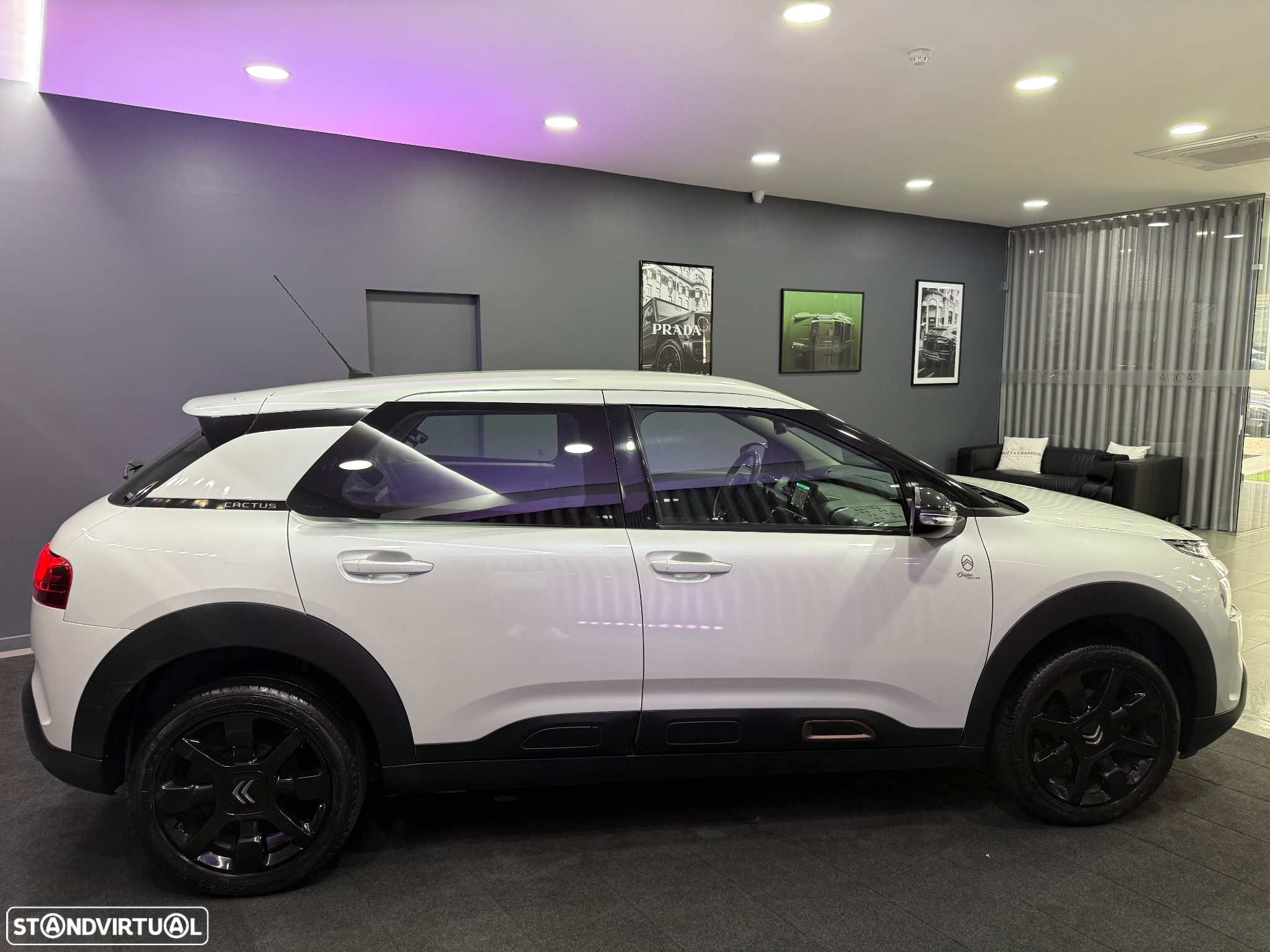 Citroën C4 Cactus PureTech 110 Stop&Start Origins - 31