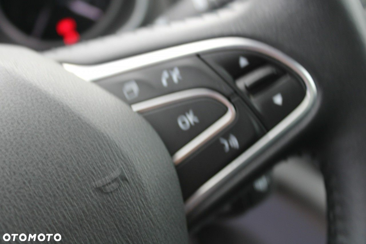 Renault Megane - 23
