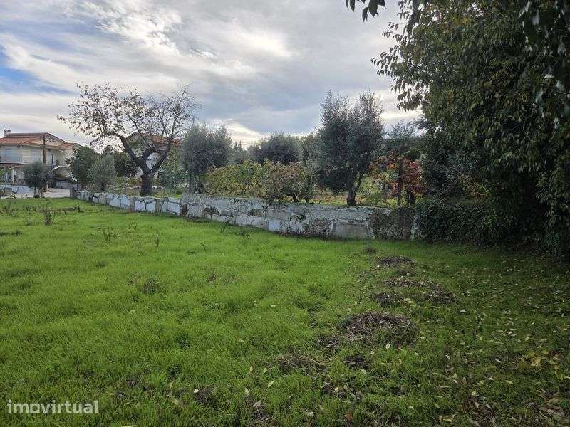 Vendo terreno urbanizavel - 1000m2 - Oliveira, Pindo - Grande imagem: 2/6