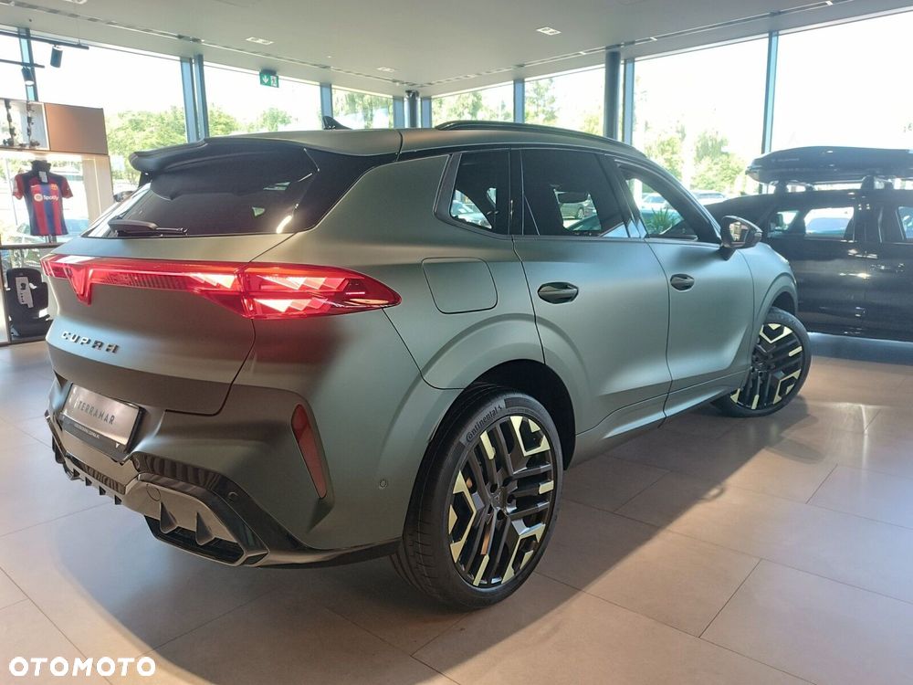 Cupra Terramar 2.0 TSI 4Drive Tribe Edition DSG - 6