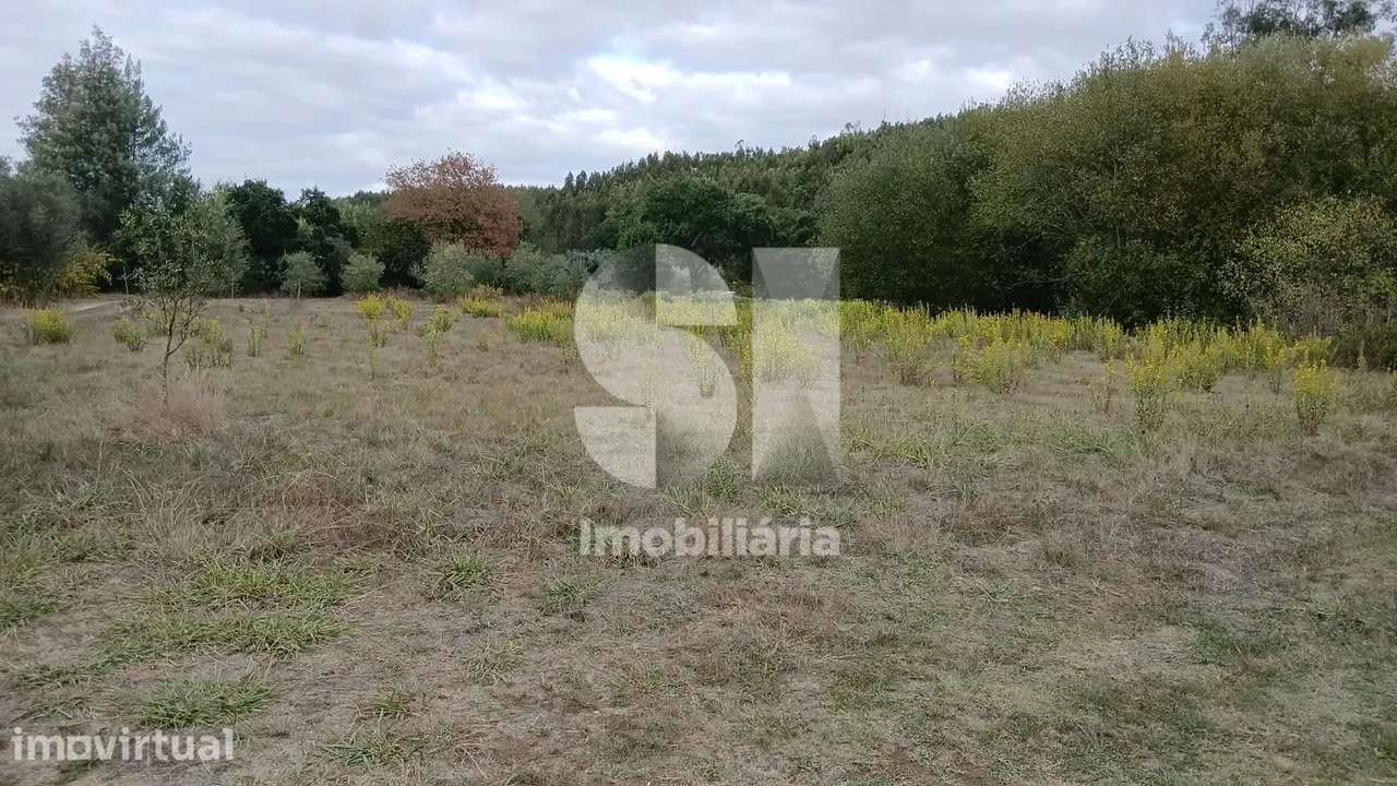 Moradia T3 em reconstrução | Vila Nova de Poiares - Grande imagem: 4/13