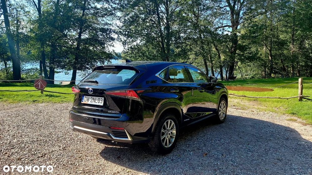 Lexus NX - 7