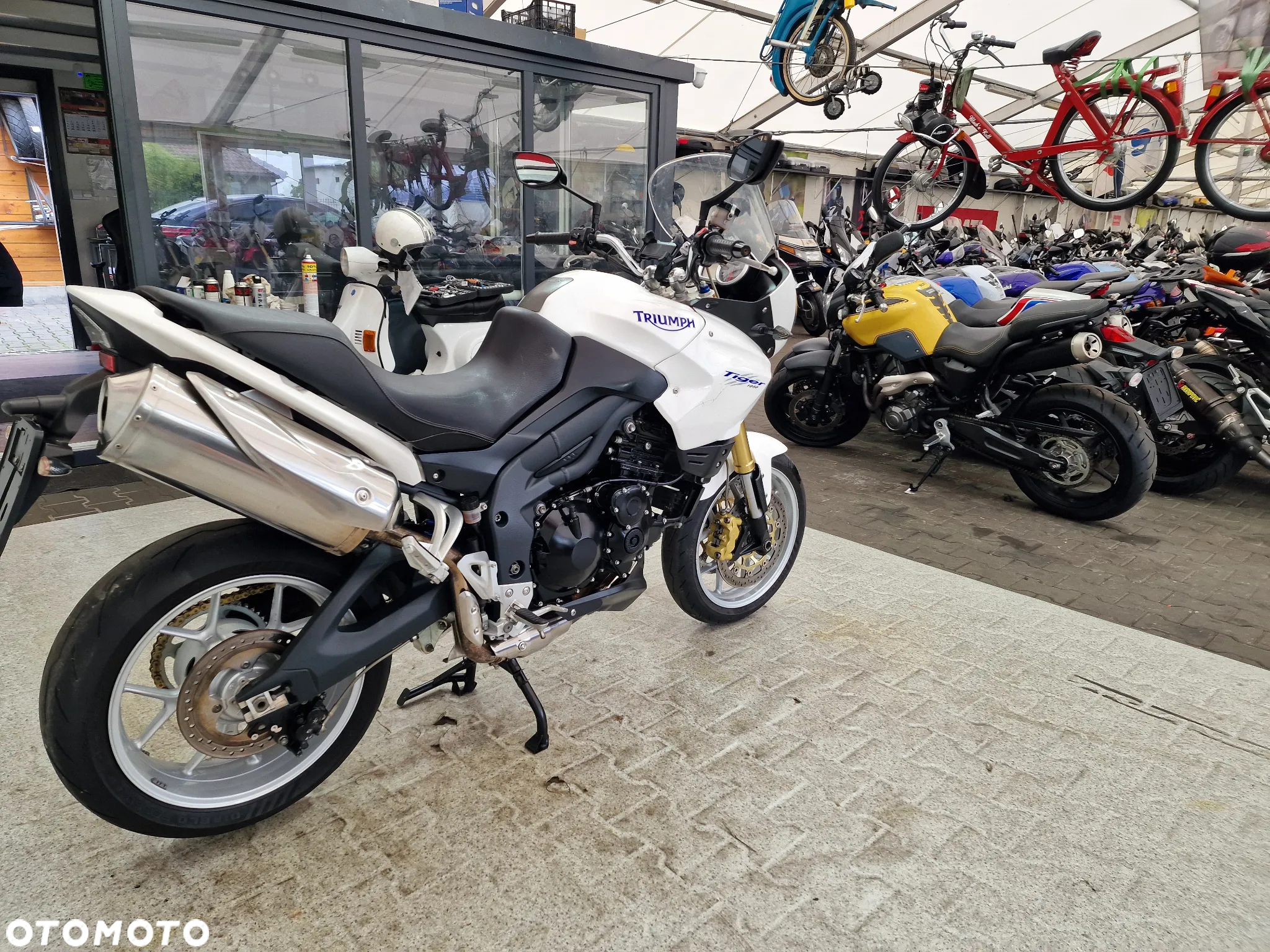 Triumph Tiger - 18