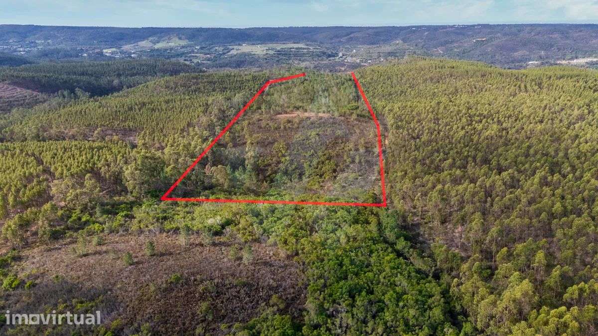 10 Hectares de Natureza Imaculada - Apenas a 5 Minutos de Aljezur - Grande imagem: 2/14