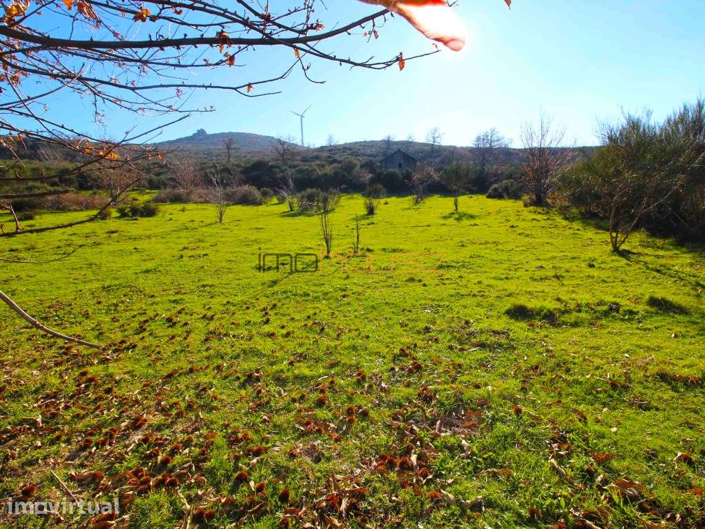 Terreno de 76 hectares - Grande imagem: 4/47