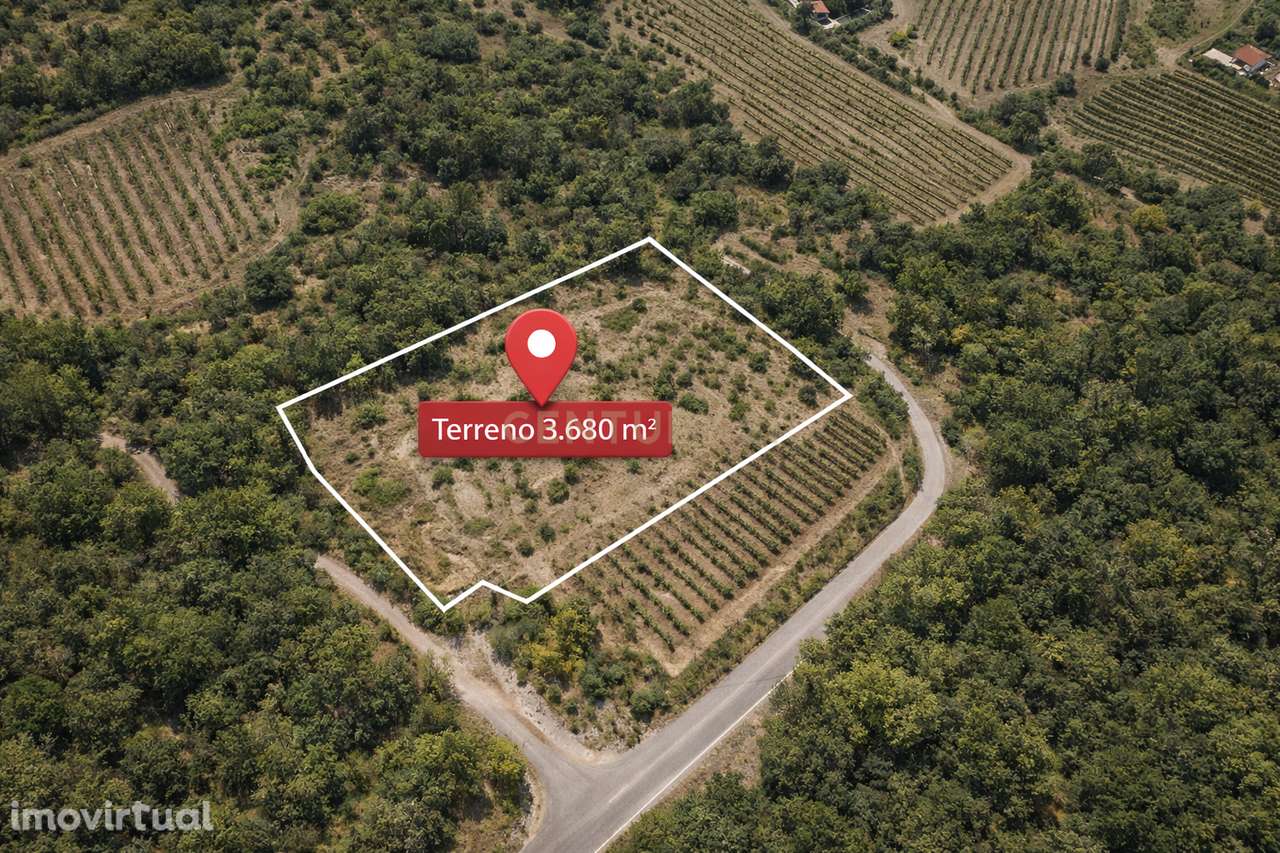 Terreno com PIP aprovado | 3.680 m² | Vista Serra de Montejunto - Grande imagem: 4/20