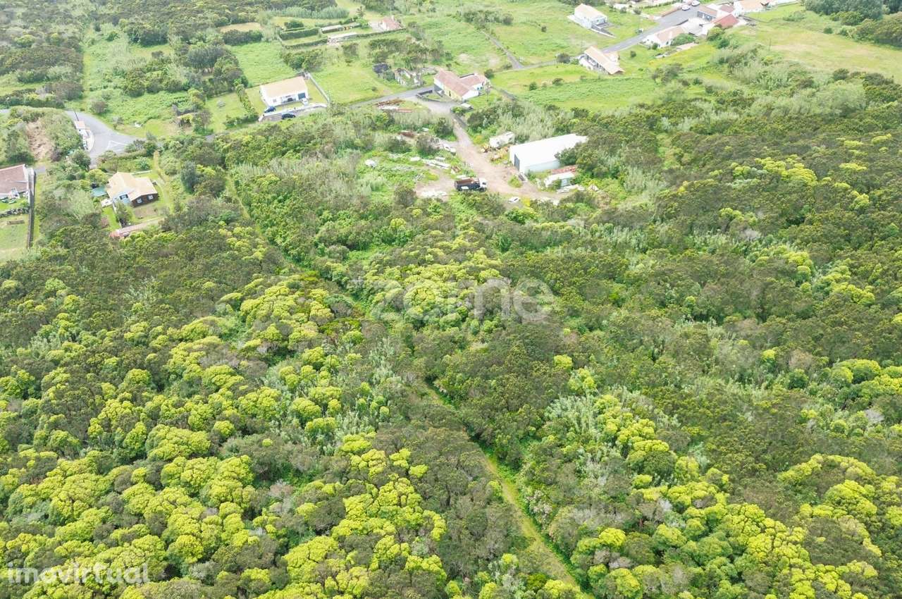 Terreno rústico com 1.694m² da freguesia do Capelo - Grande imagem: 3/9