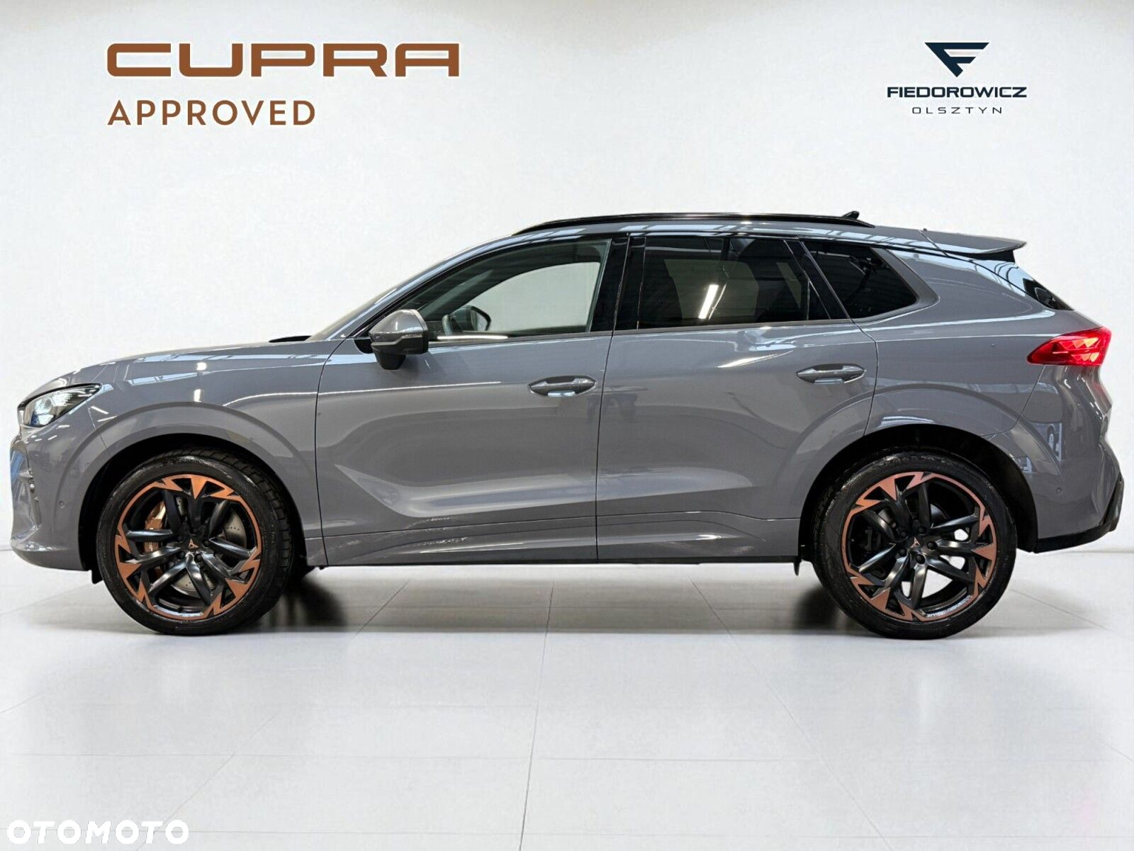 Cupra Terramar 2.0 TSI 4Drive VZ DSG - 3