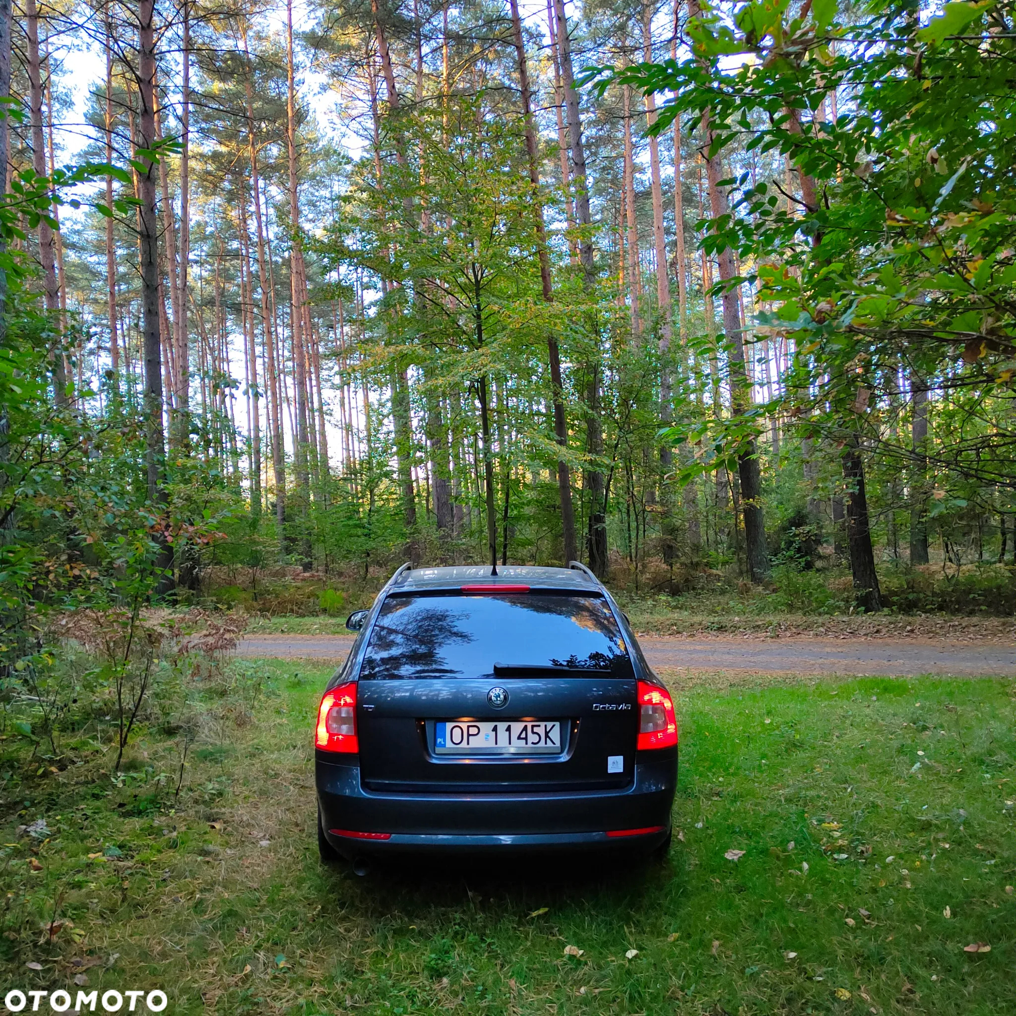 Skoda Octavia Combi 1.6 TDI DPF Classic - 24