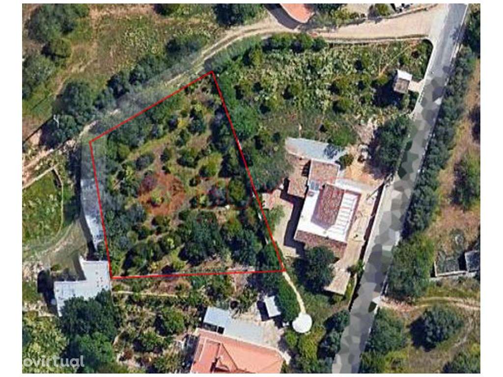 Lote com Projeto Aprovado para 2 Moradias Contemporâneas com Piscin... - Grande imagem: 2/19