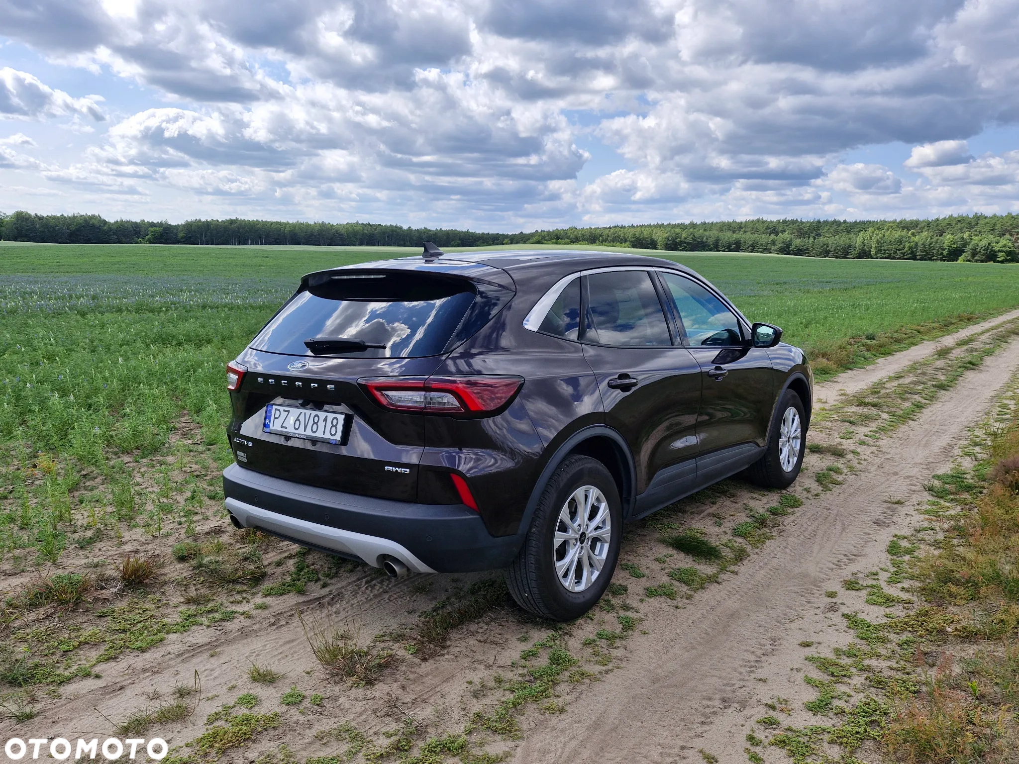 Ford Escape 1.5 EcoBoost AWD SE - 5