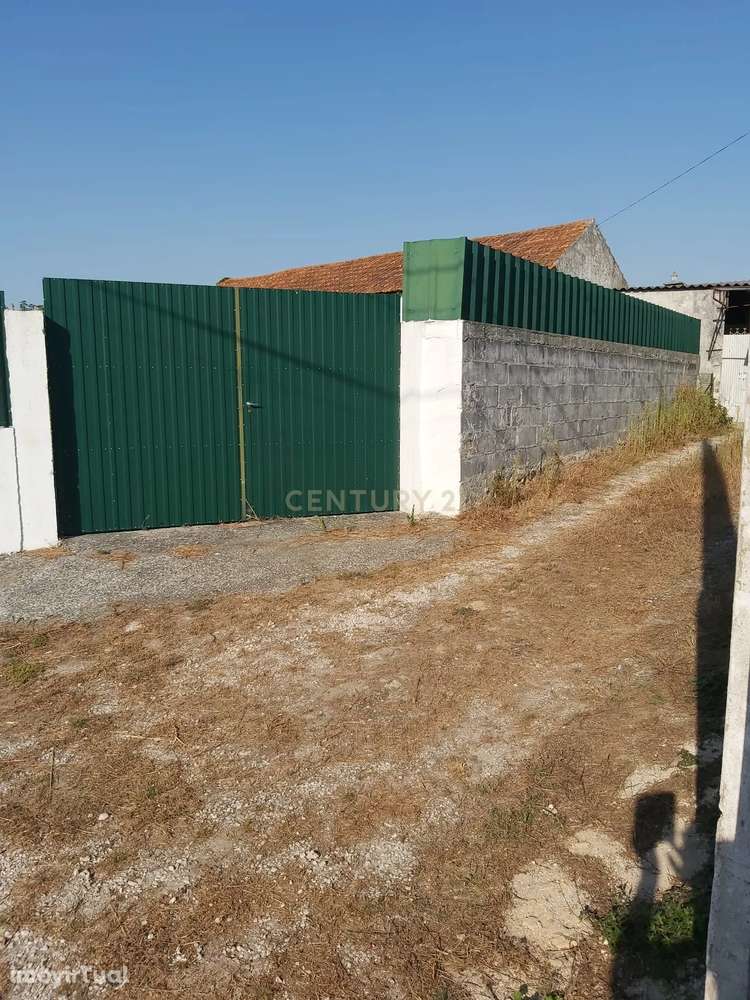 Excelente lote de Terreno || Calvaria - Grande imagem: 2/11