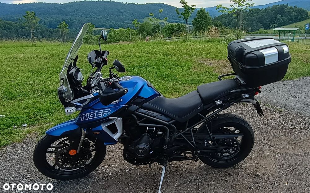 Triumph Tiger - 9