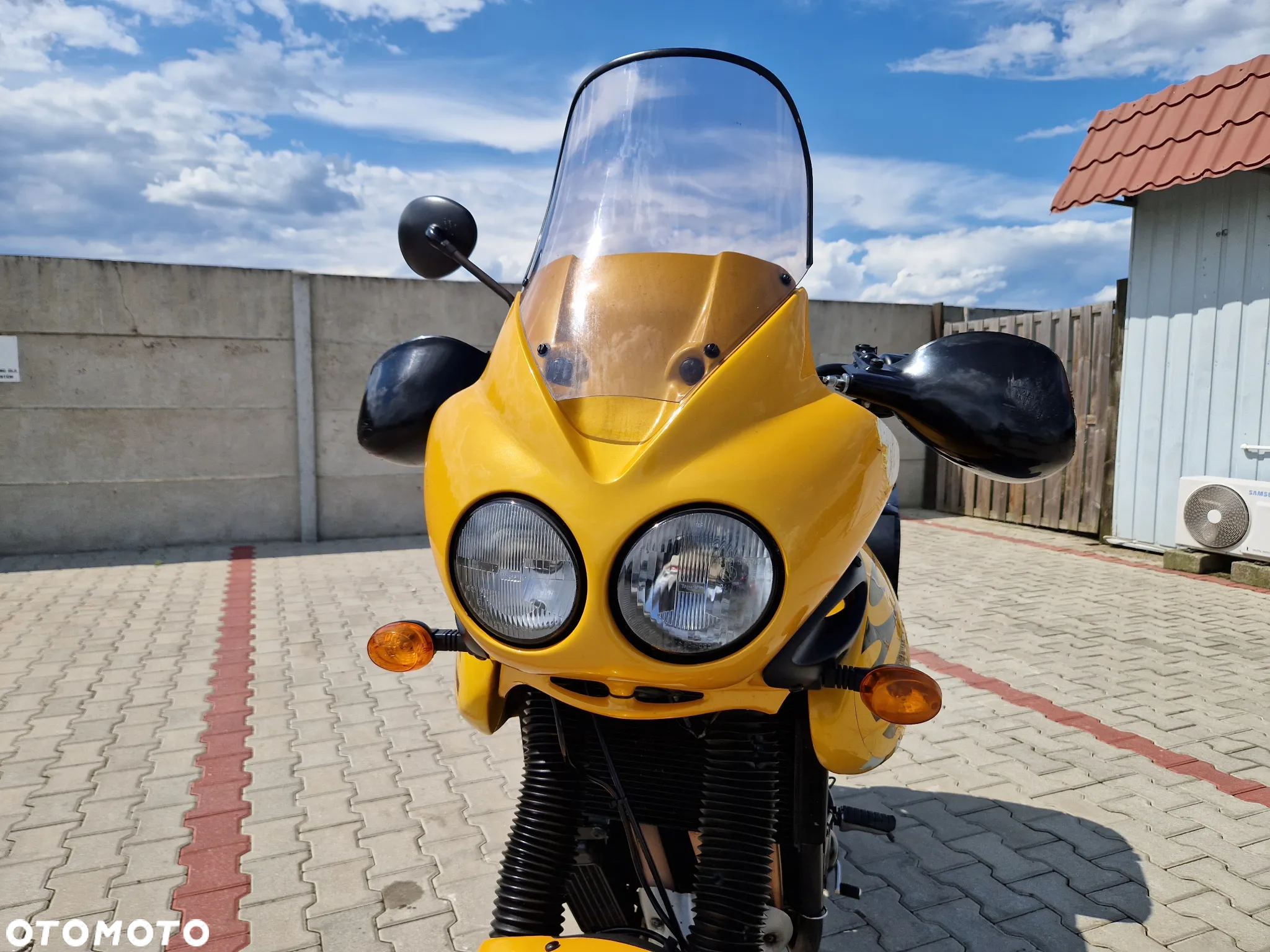 Triumph Tiger - 15