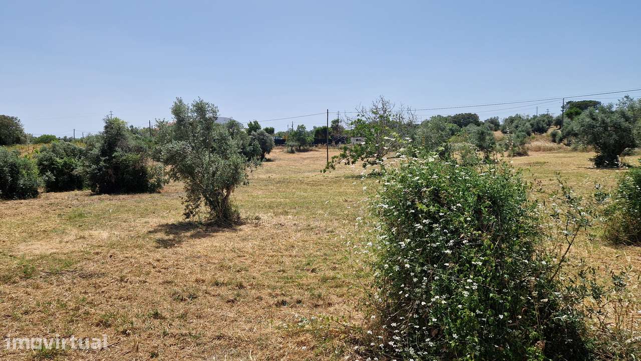 Terreno para venda em Casal da Estrada, Torres Novas - Grande imagem: 4/12