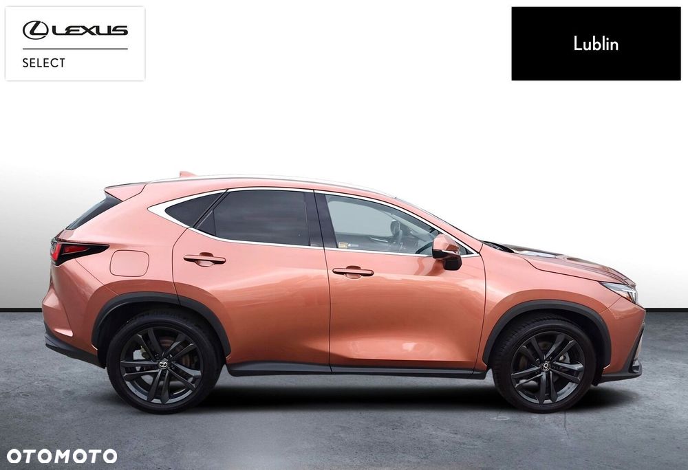 Lexus NX - 6