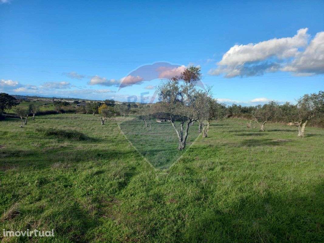 Terreno  para venda - Grande imagem: 4/4