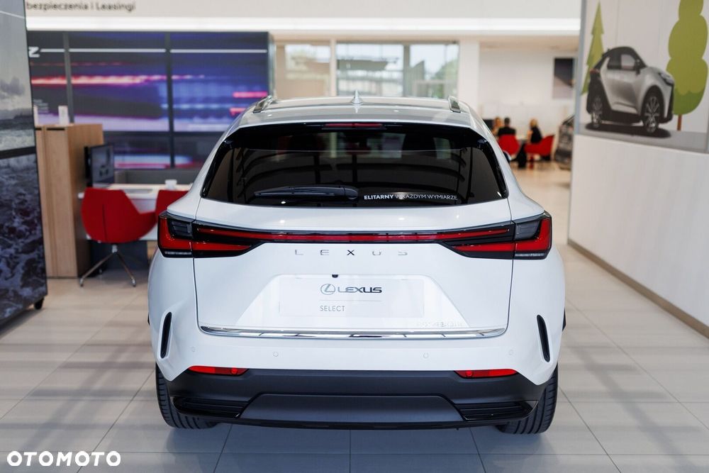 Lexus NX - 6