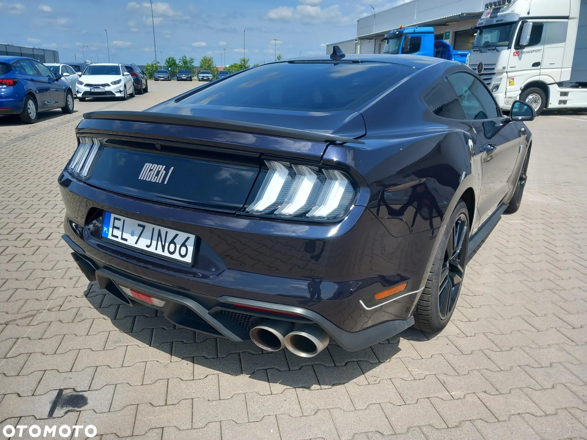 Ford Mustang 5.0 V8 Mach 1 - 12