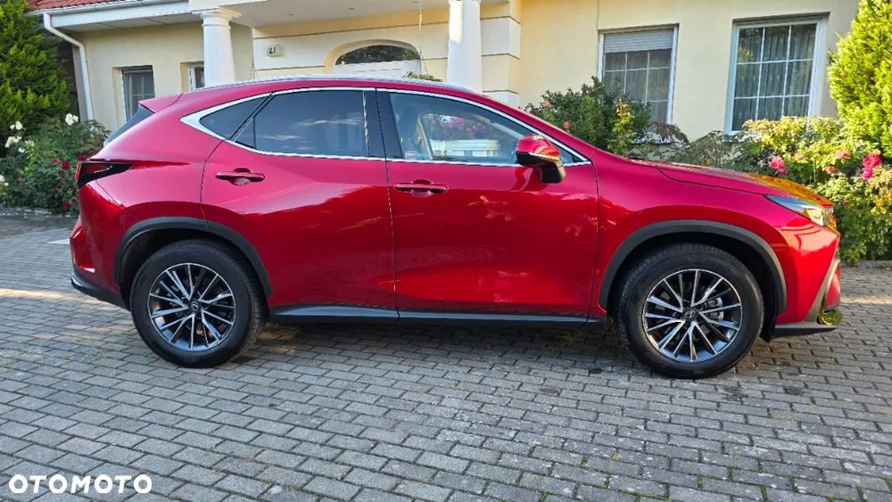 Lexus NX 350h Prestige 2WD - 10