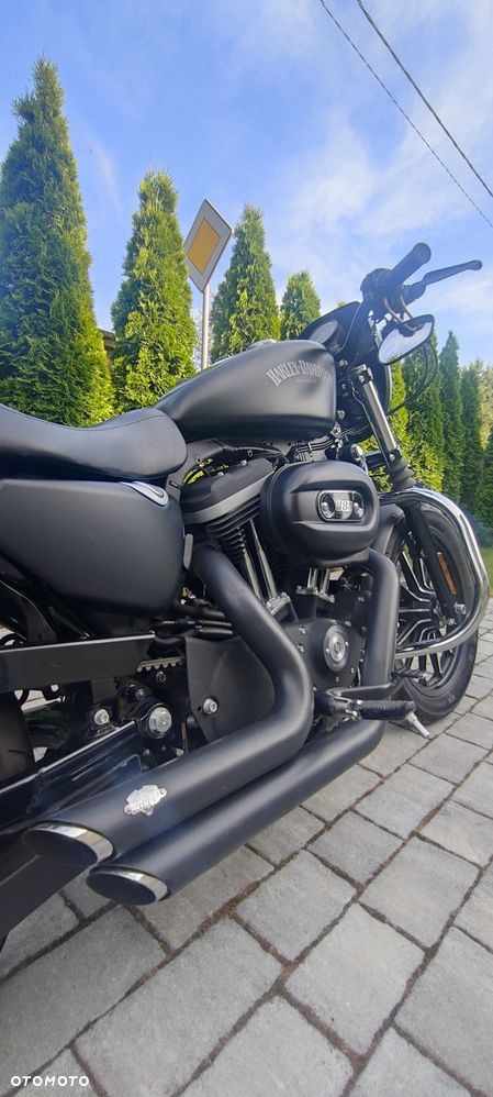 Harley-Davidson Sportster Iron 883 - 7