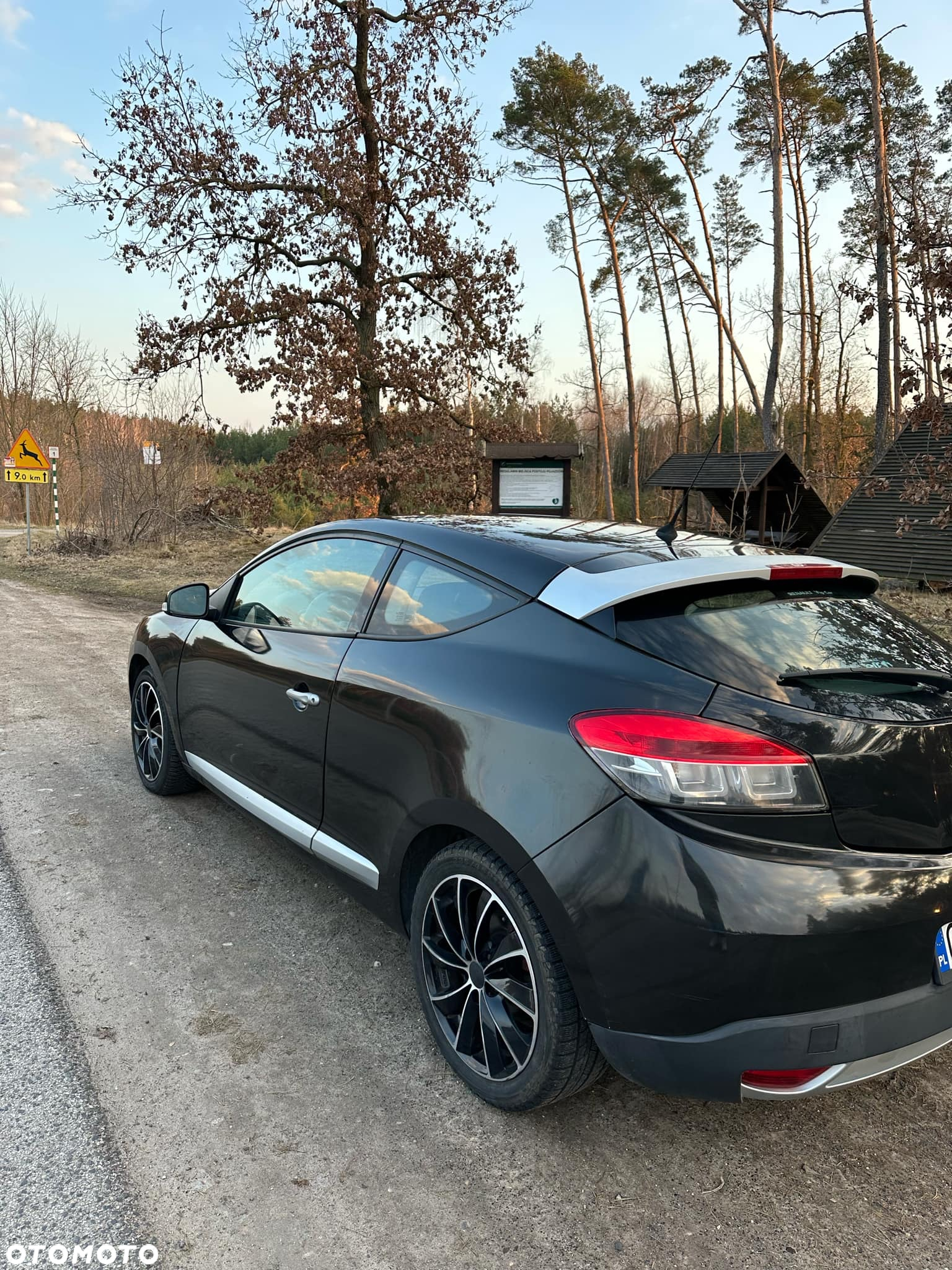 Renault Megane CC 1.6 16V Authentique - 6